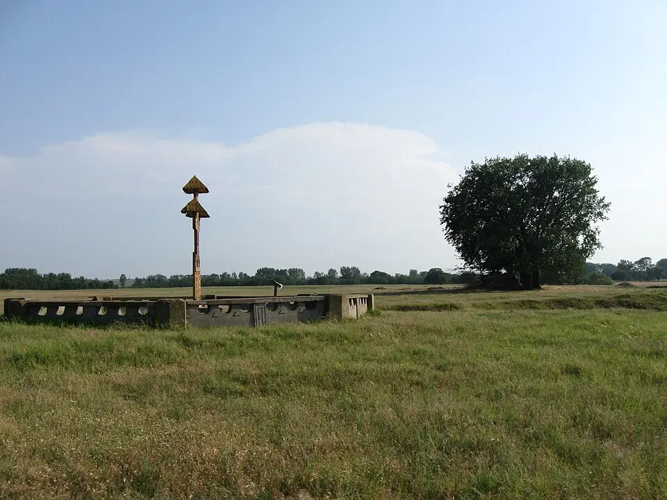 Maglavit