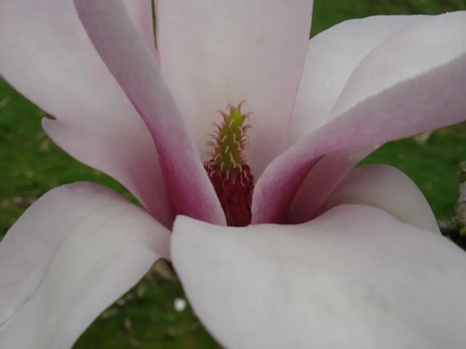 Arboretum Wespelaar
