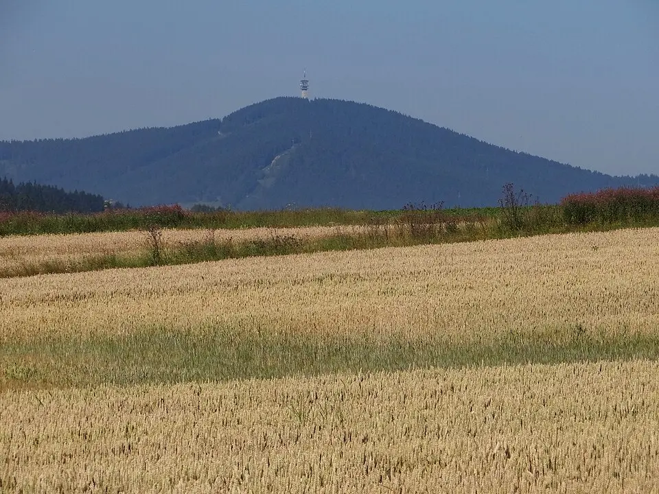Kép: Jerzy Opioła · CC BY-SA 3.0 Magurka