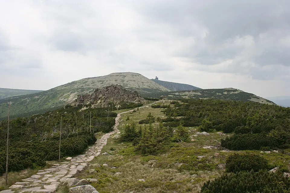Vysoké kolo