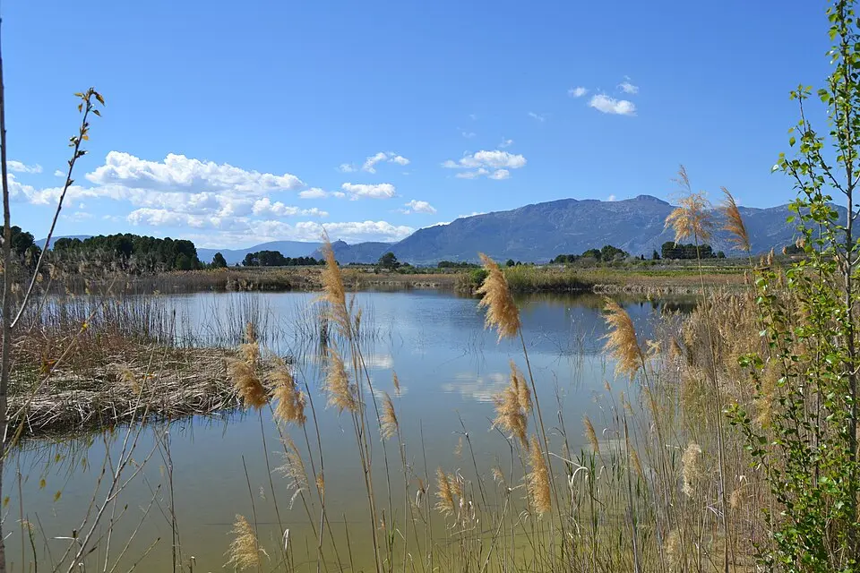 Albufera de Gayanes