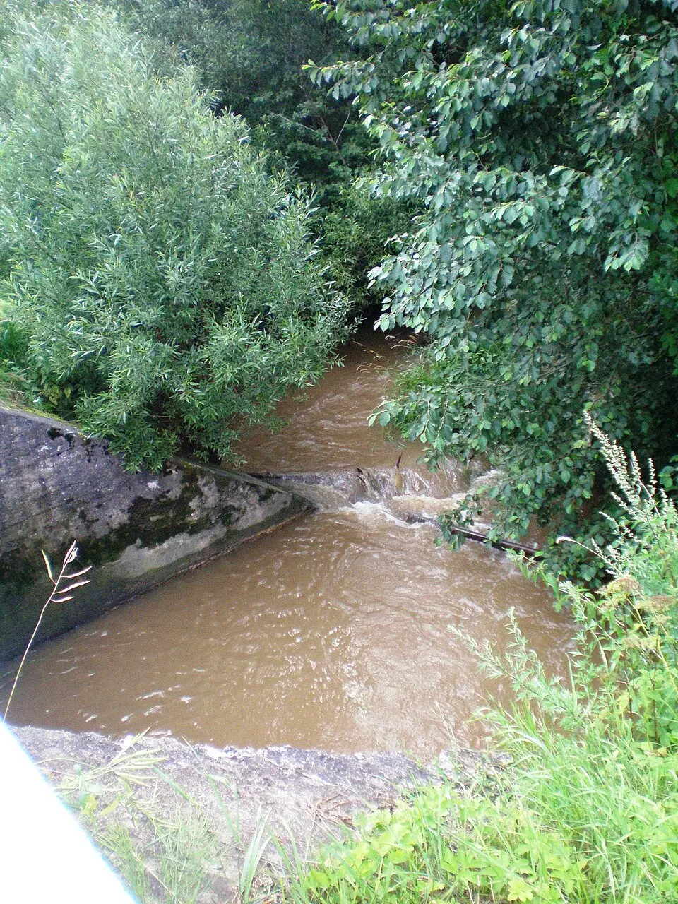 Alėja (Upė)