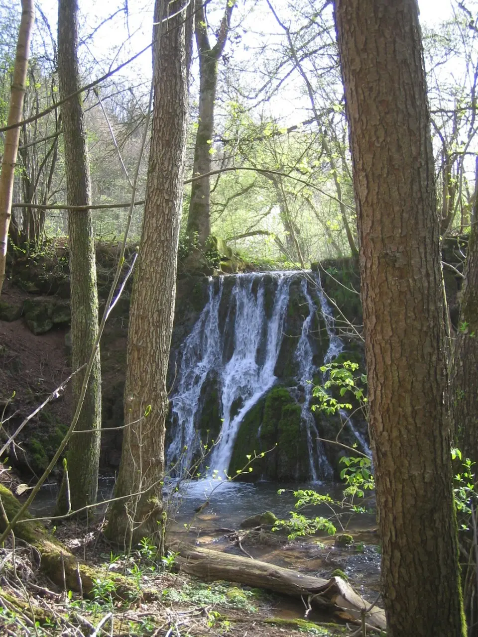 Maisenbach
