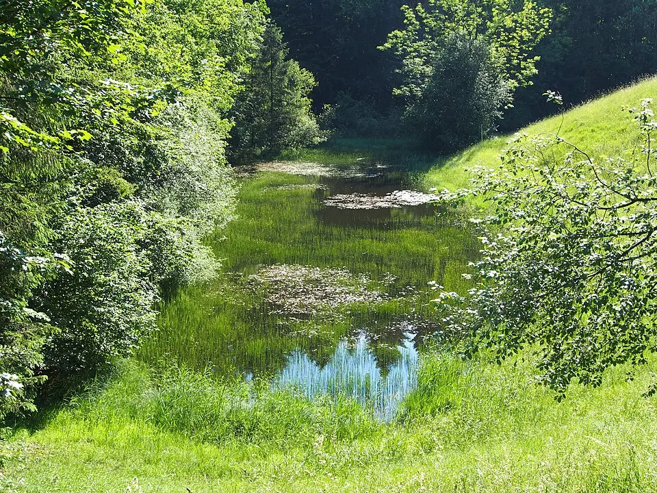 Slika: Photo tirol · CC BY-SA 3.0 AT Maistaller Lacke