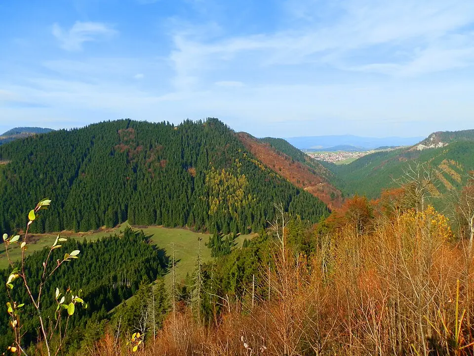 Immagine: Michal Jakubský · CC BY 3.0 Sielnická hora