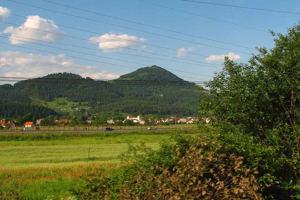 Straník