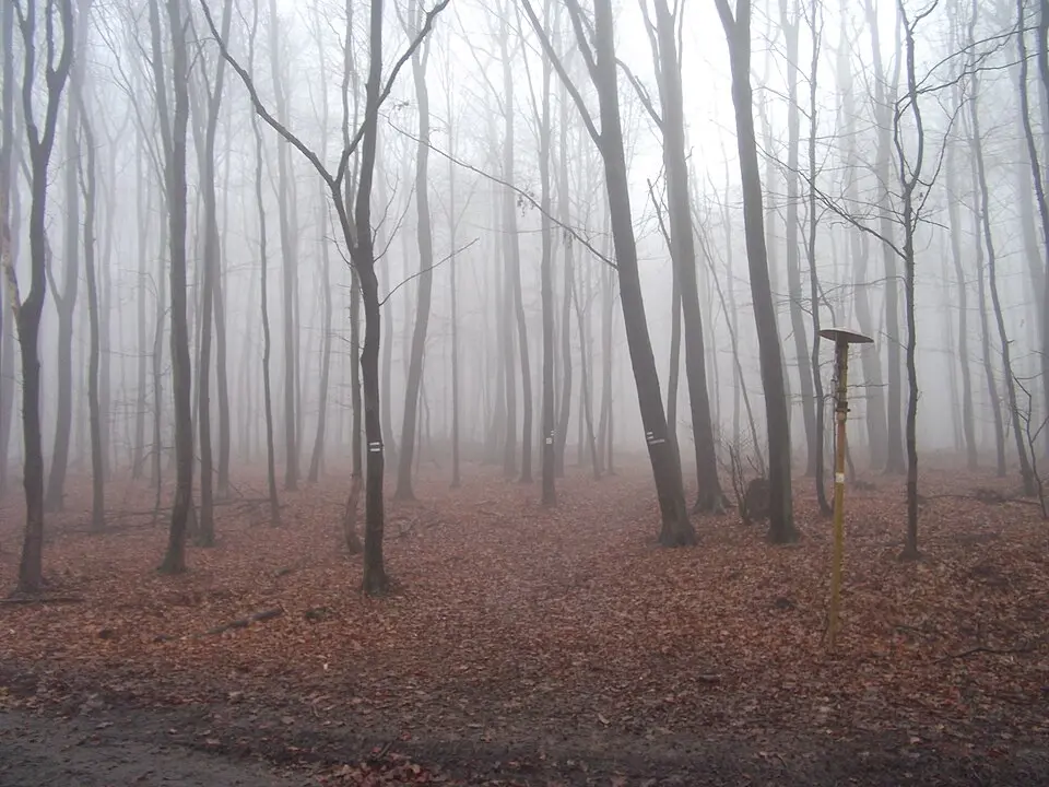 Malinský vrch