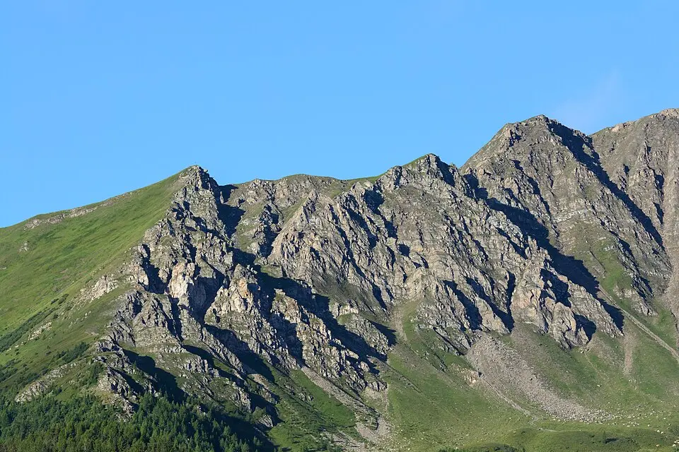 Törlkopf