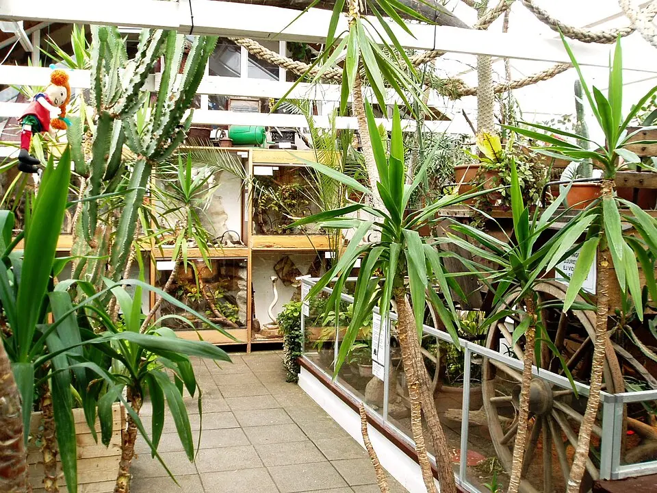 Image: Udo Schröter · CC BY-SA 3.0 Malmö Reptilcenter