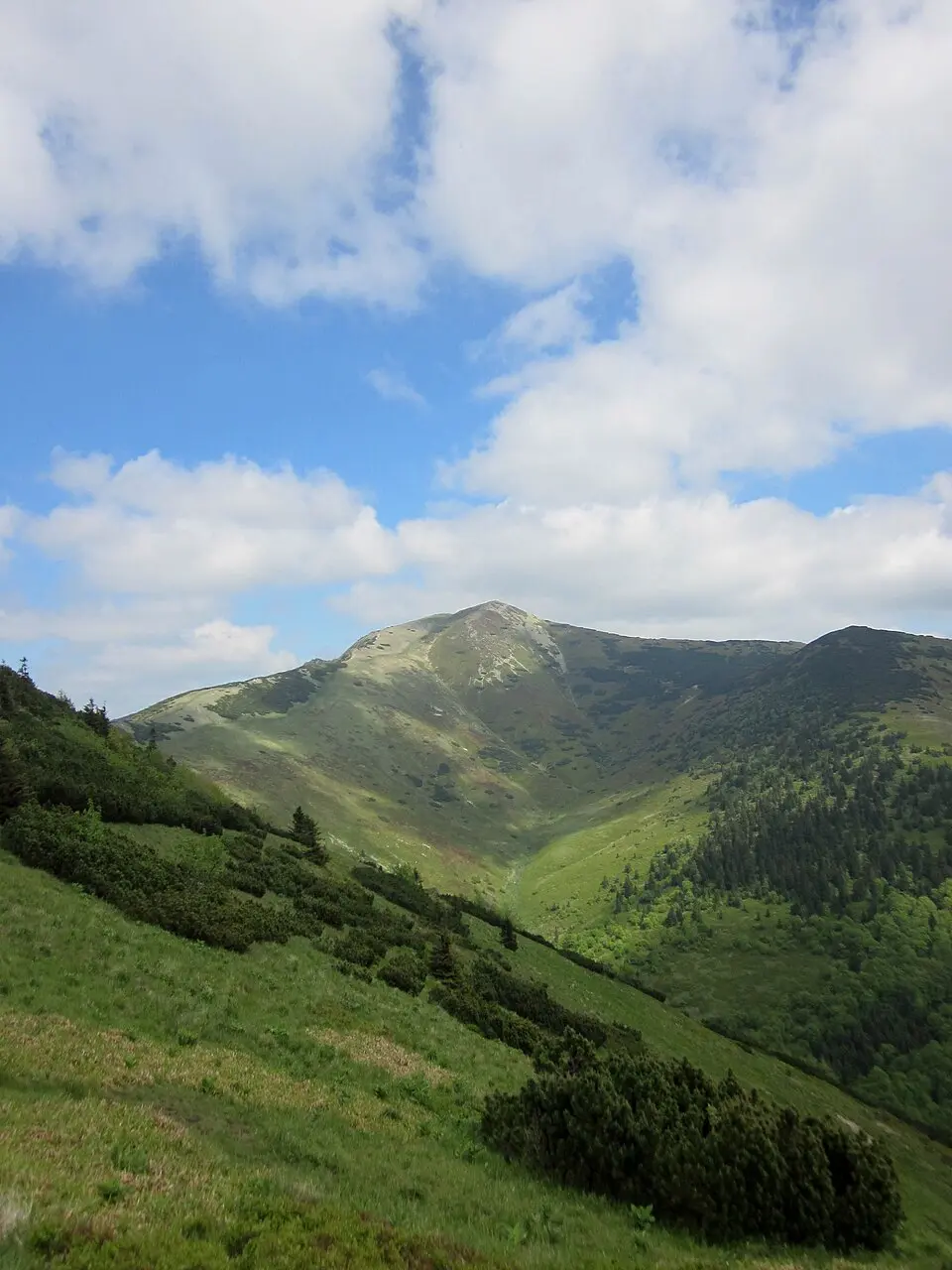 Bild: Vegetator · CC BY 3.0 Kleine Fatra