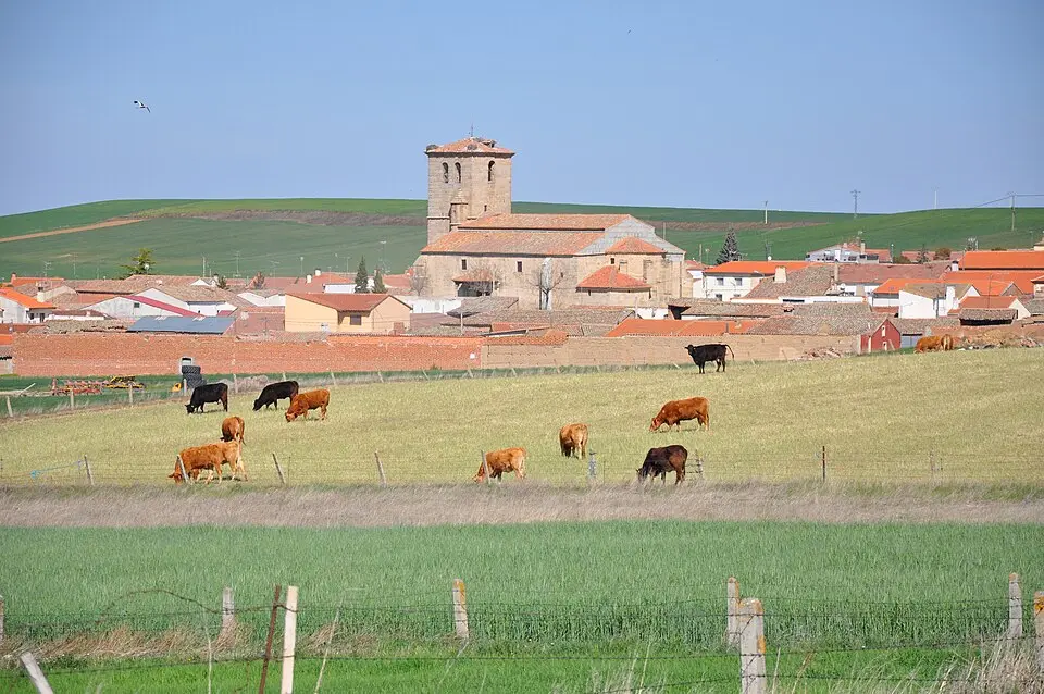 Tierra de Peñaranda