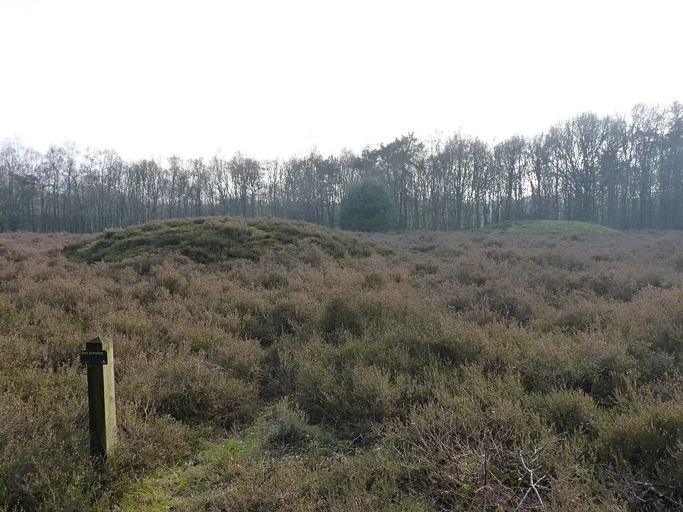 Terrein waarin twee grafheuvels en urnenveld