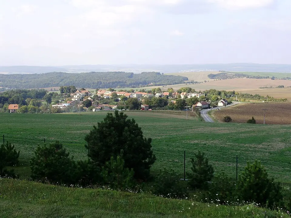Manerov