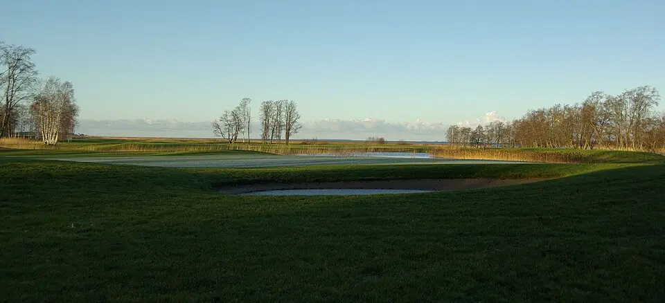 Manniva