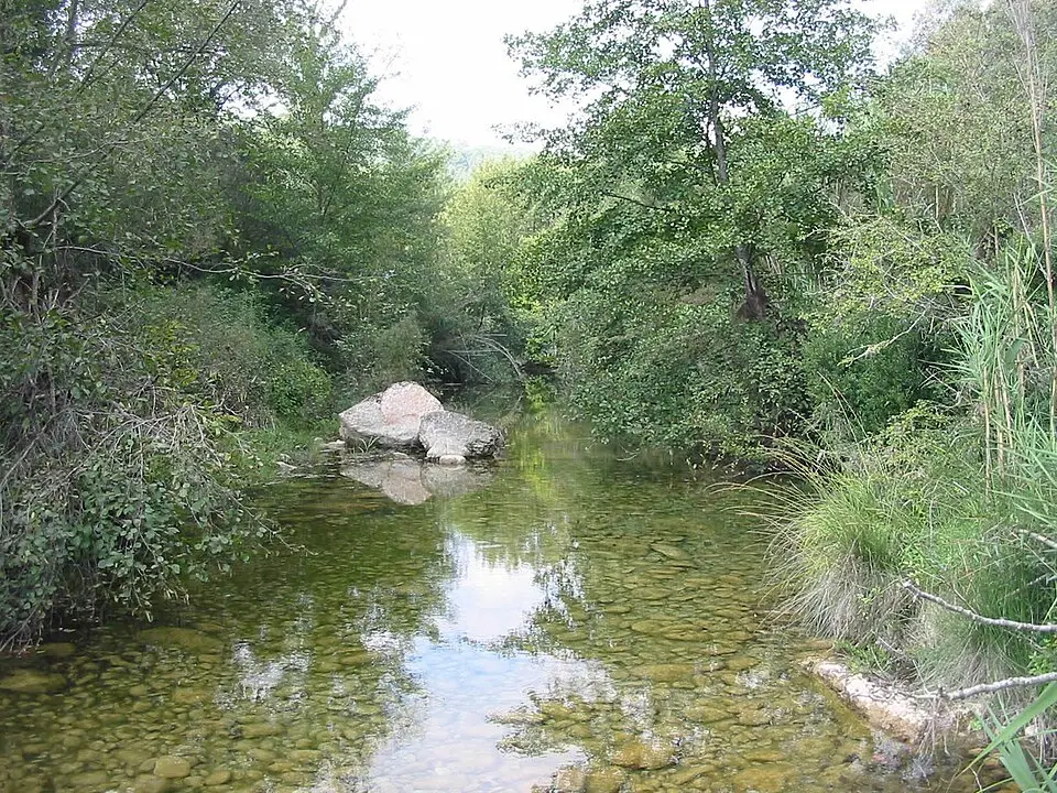río Manol
