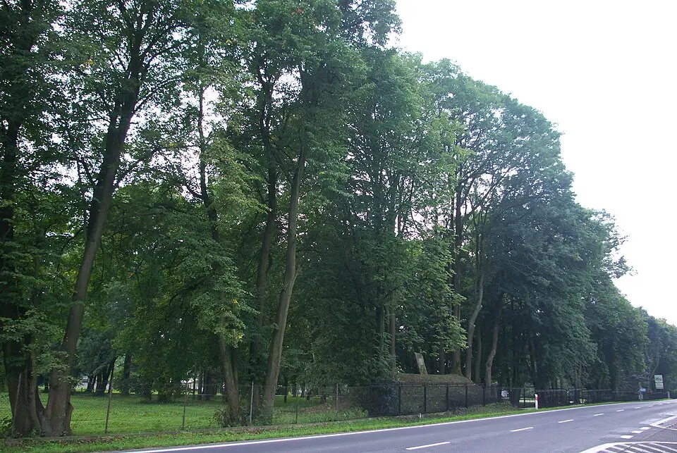 Zespół pałacowy w Nowosielcach