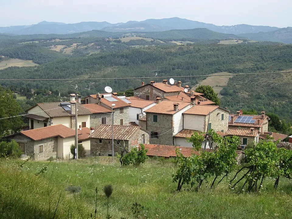 Manzi
