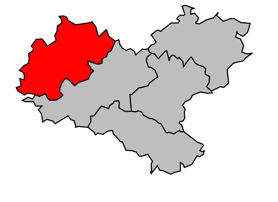 canton de Delme