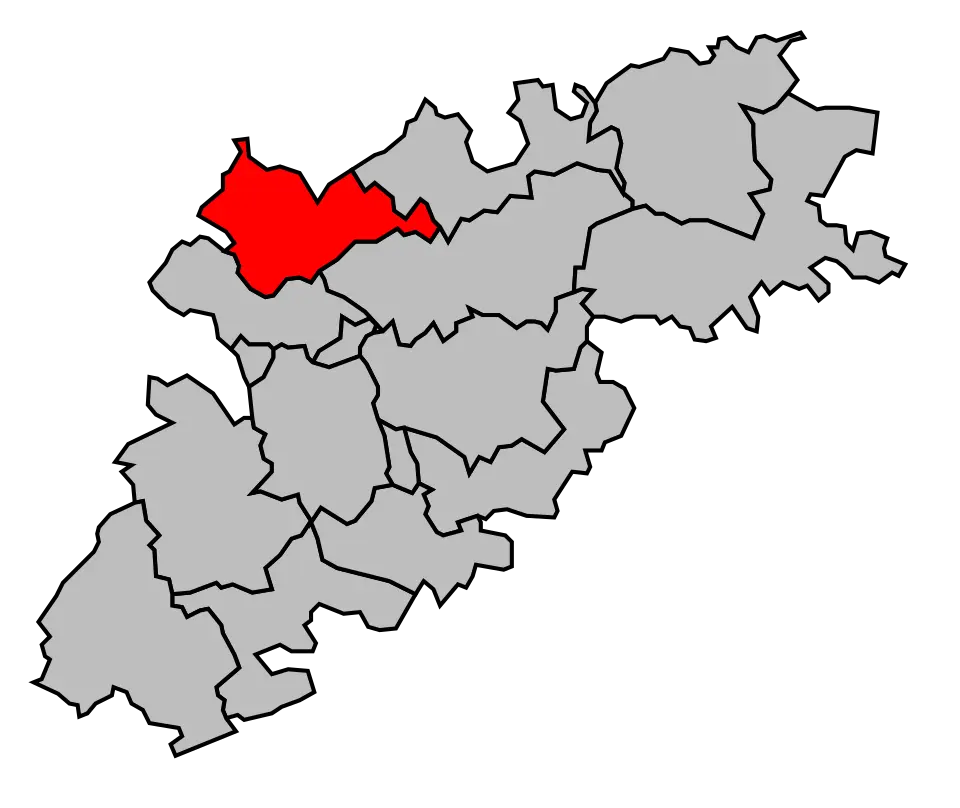 canton de Molières