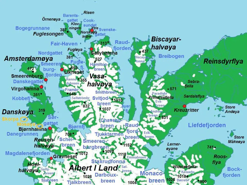 Reinsdyrflya