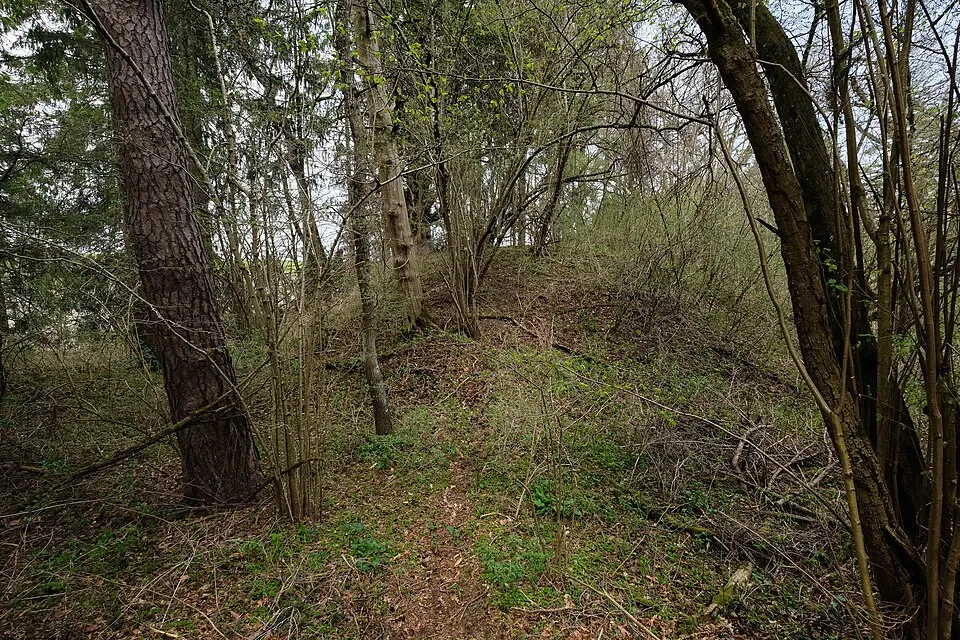 Burg Schlößlesbühl