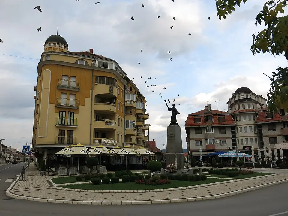 Општина Свилајнац