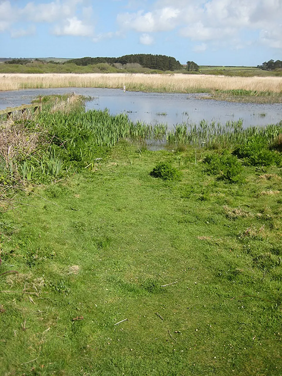 Marazion Marsh RSPB Reserve