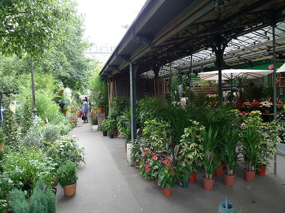 marché aux fleurs Reine-Elizabeth-II