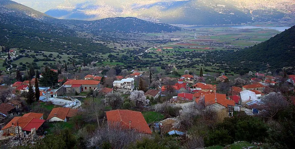Δημοτική Ενότητα Αλέας