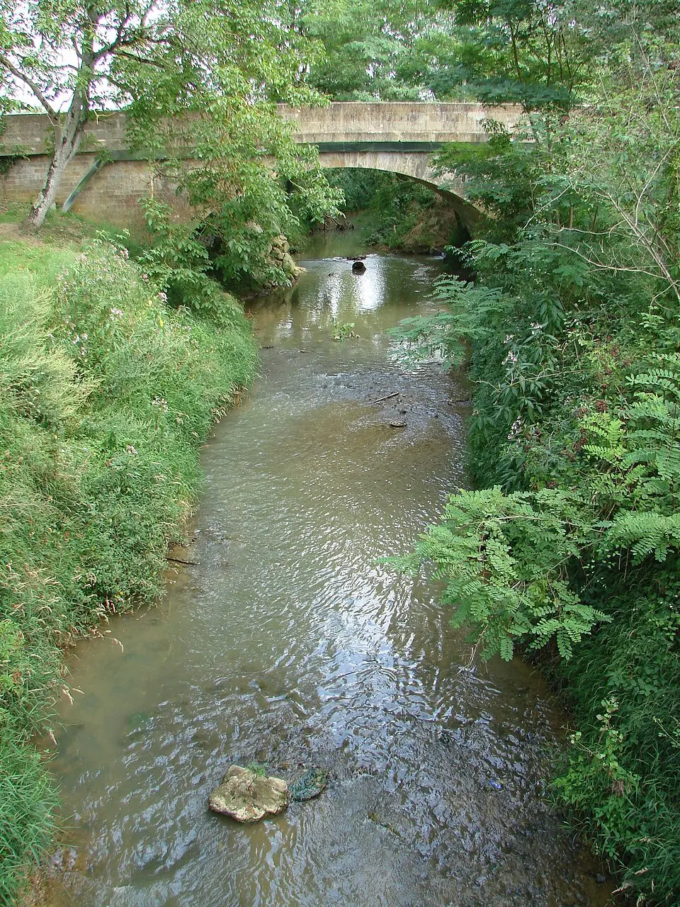 Bouès