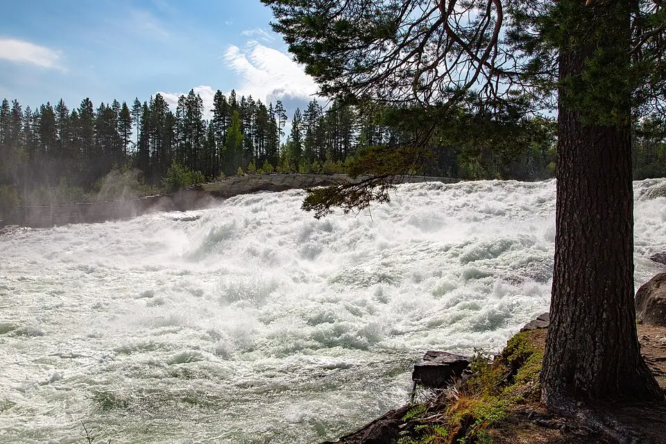 Mårdselforsen