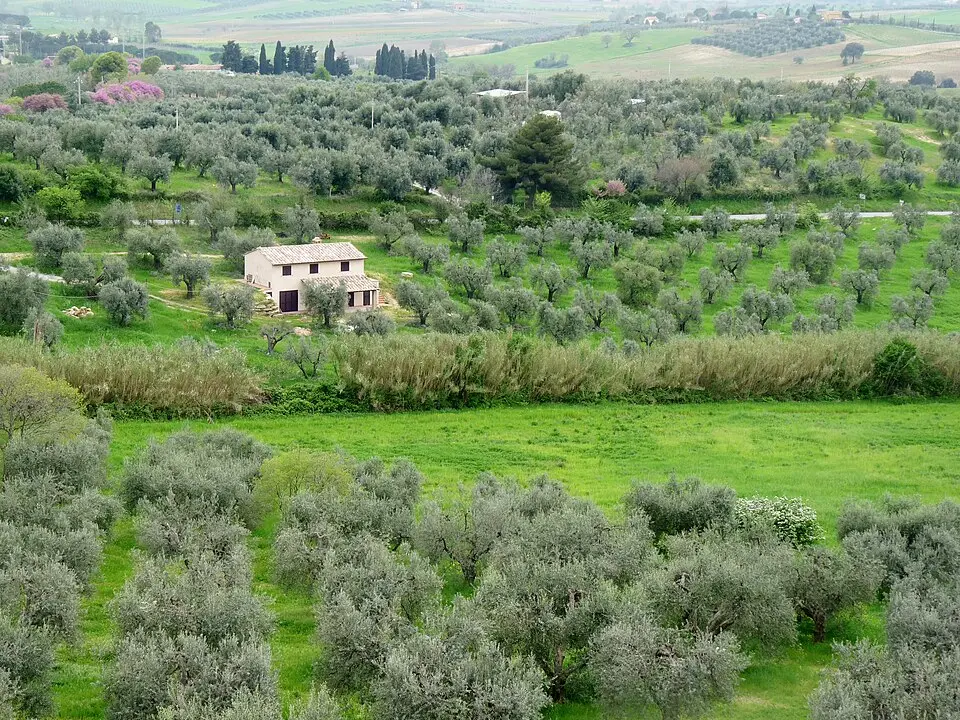 Maremma