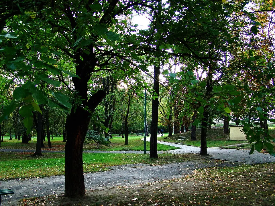 Park pałacowy
