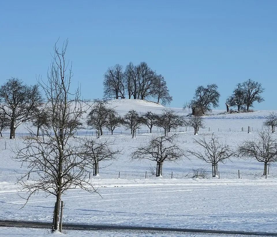 Image: Dietrich Krieger · CC BY-SA 3.0 Burgstall Margarethenberg