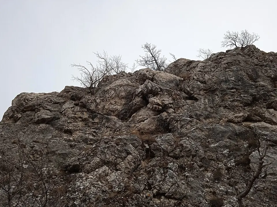 Margitliget köteles-fülke