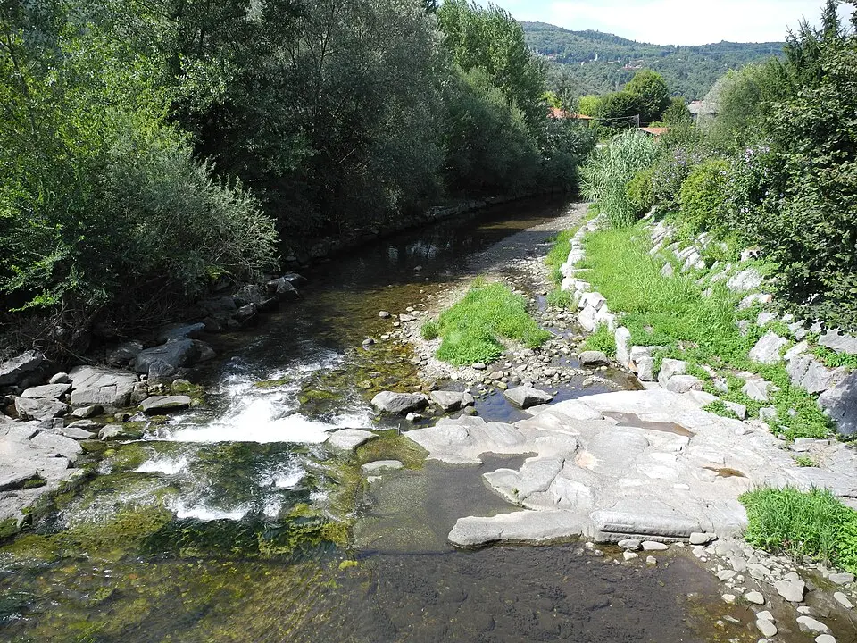 Margorabbia