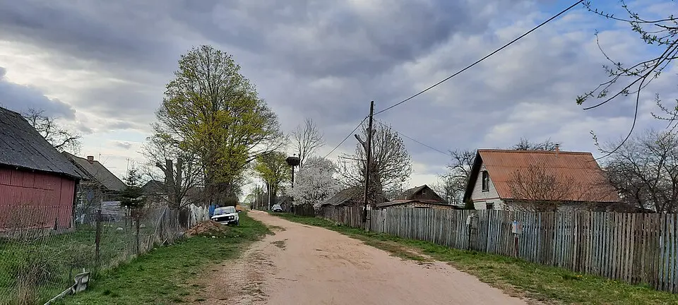 Маргі