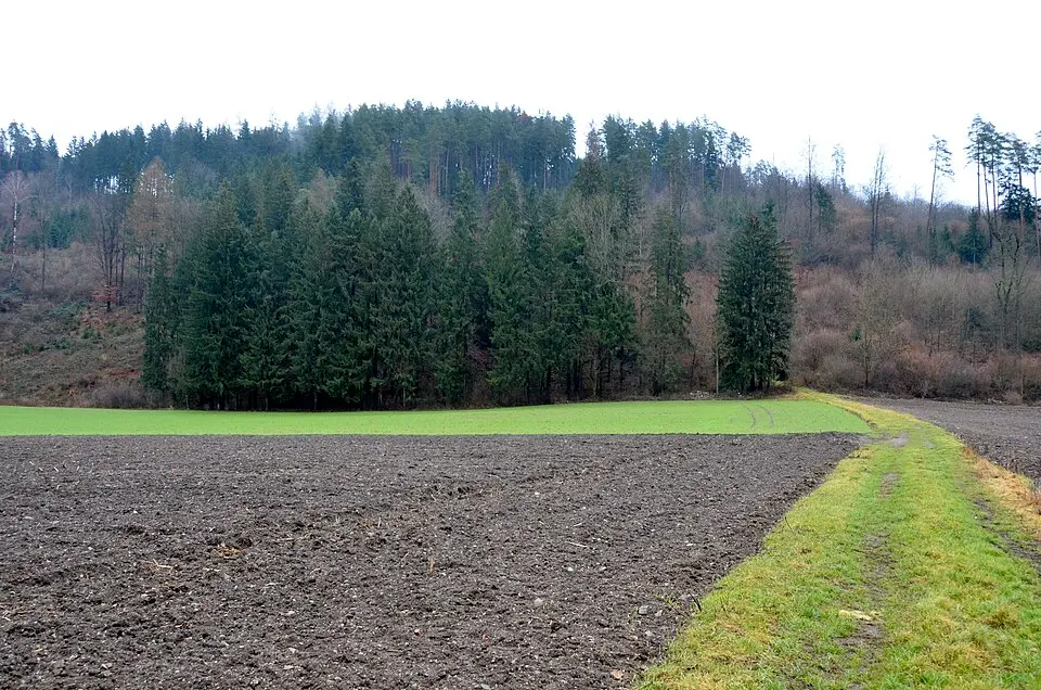 Römisches Gebäude auf der Kratzer Halt