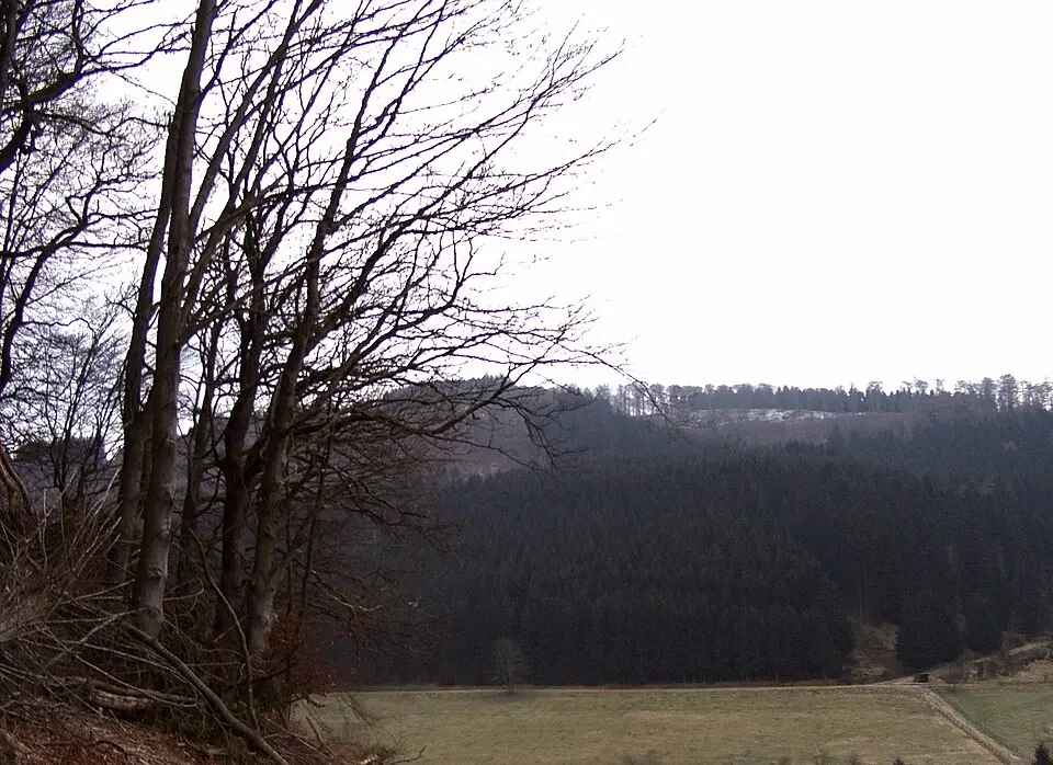 Hohe Warte (Rothaargebirge)