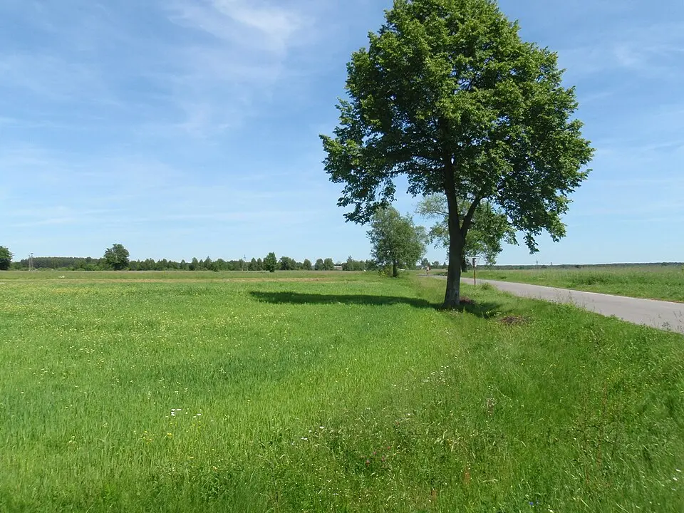 Gmina Głowaczów