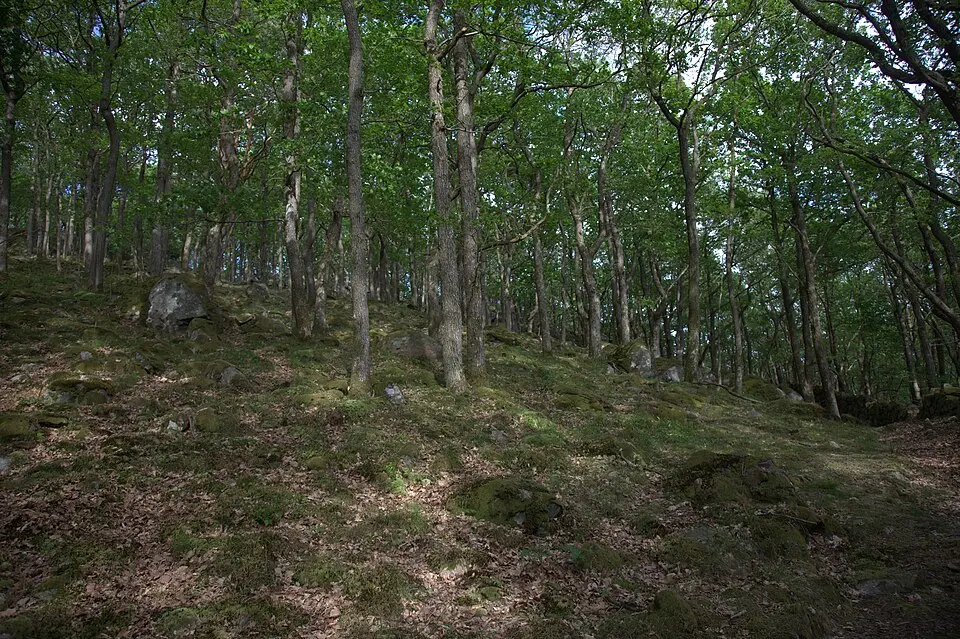 Marieberg