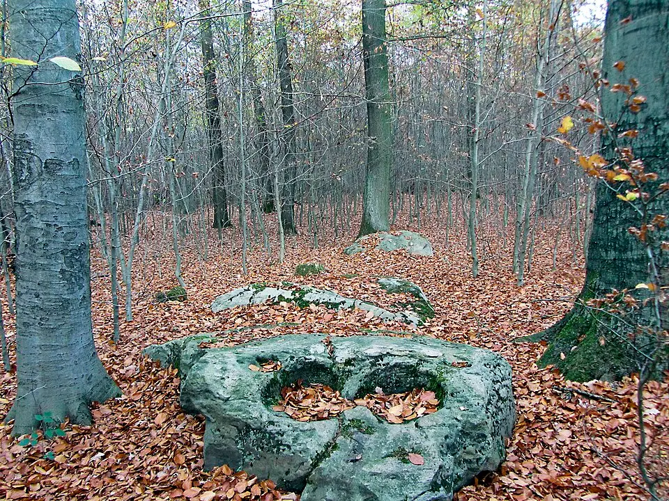 Großsteingrab Marienborn 1