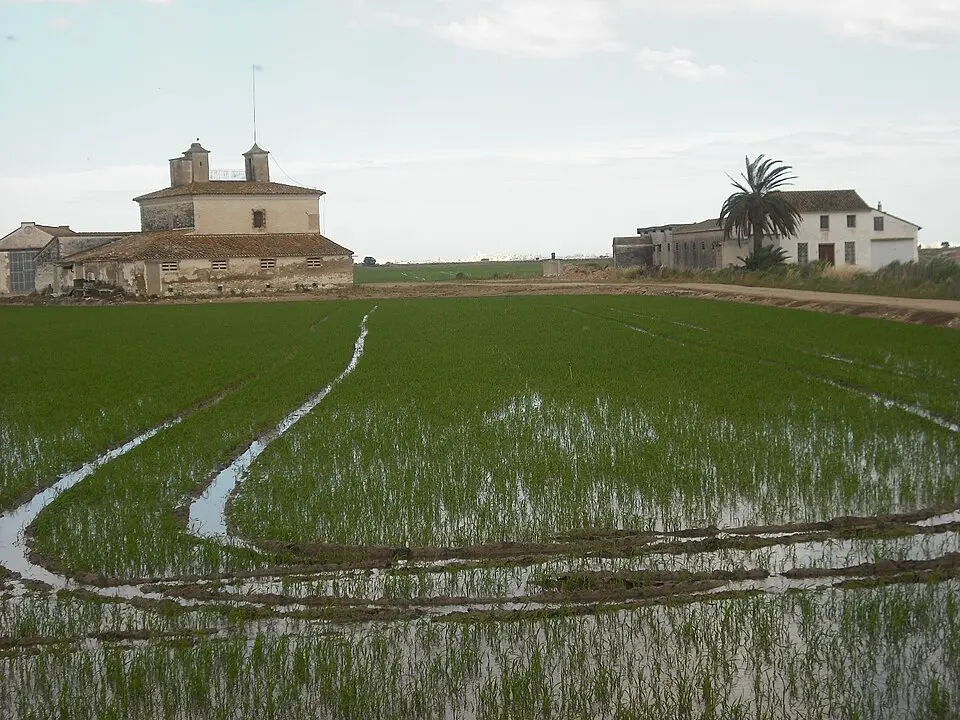 Parque natural de la Albufera