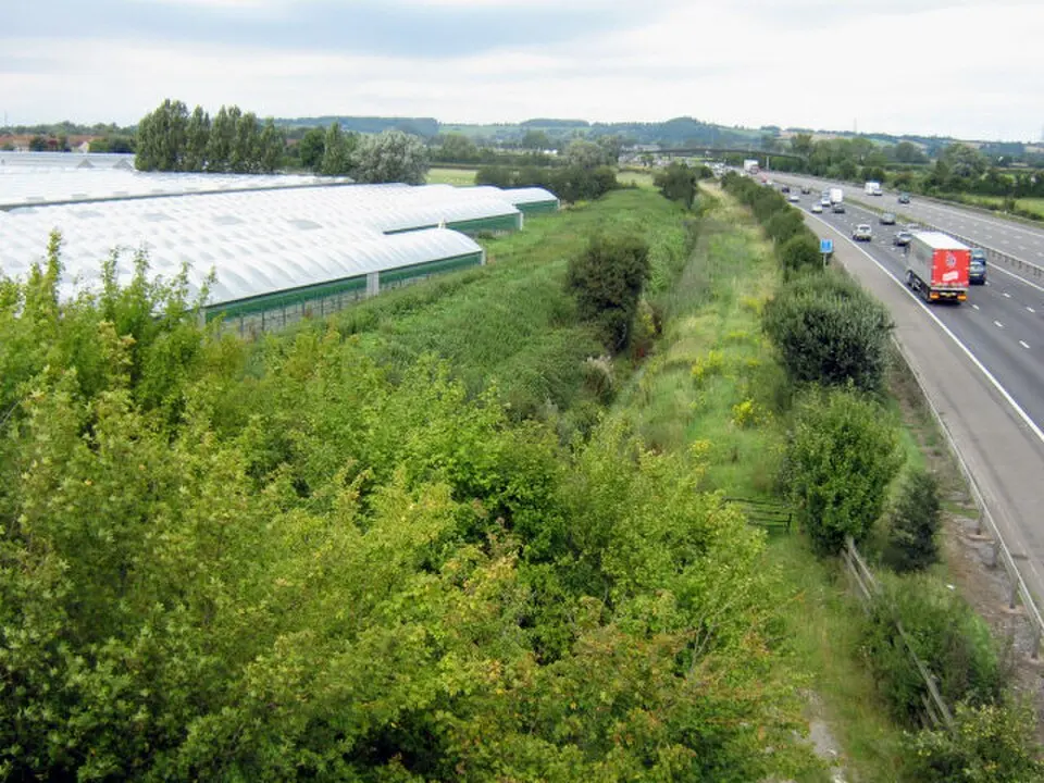 Bridgwater Without