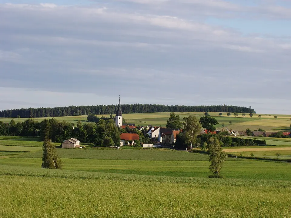 Obrázek: E. Lang / Preiselbeere at German Wikipedia · CC BY-SA 3.0 Thiersheim