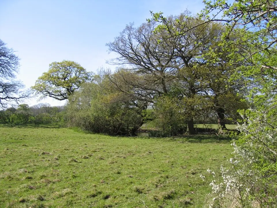 Kings Marsh