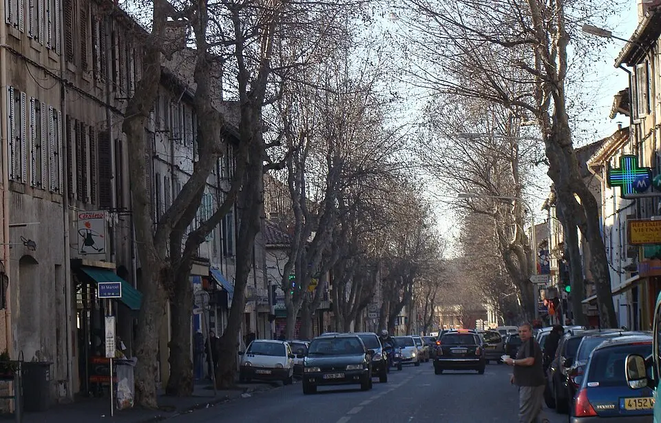 canton de Marseille-Saint-Marcel