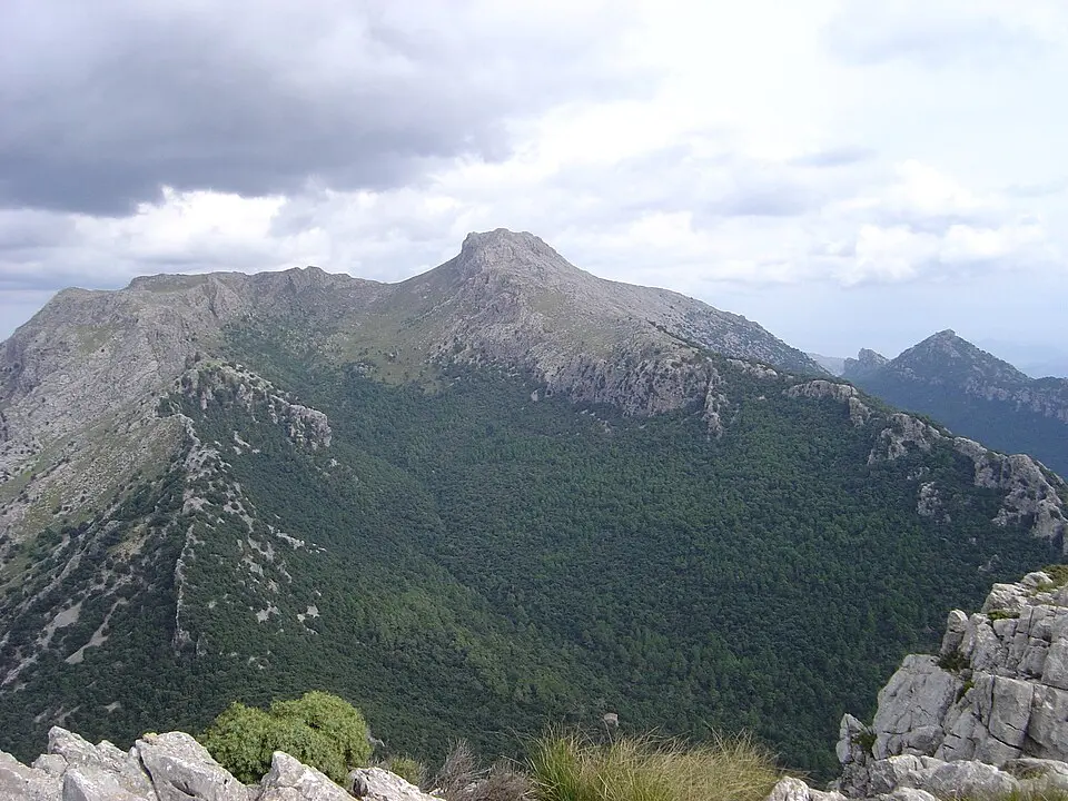 Masanella