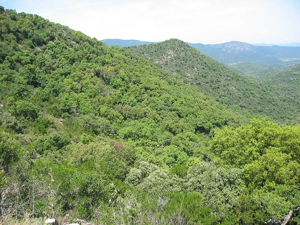 massif des Maures