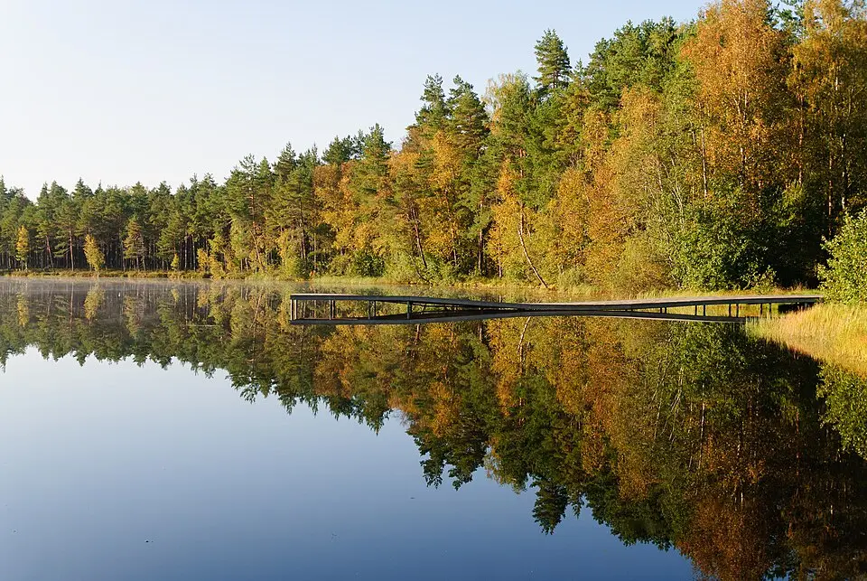 Paide vald